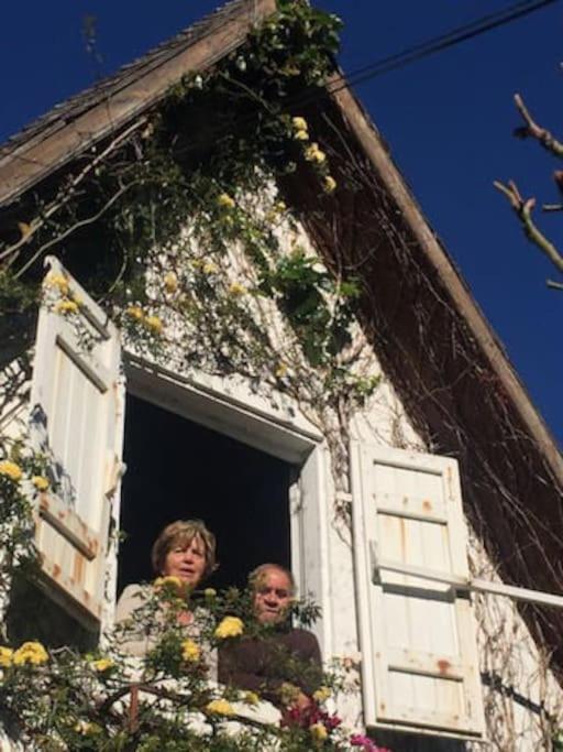 Le Strelitzia 2 Apartman Cilaos Kültér fotó