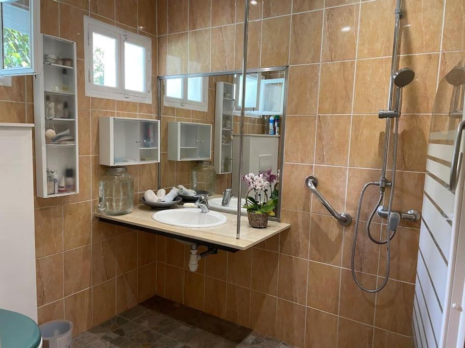 Le Strelitzia 2 Apartman Cilaos Kültér fotó