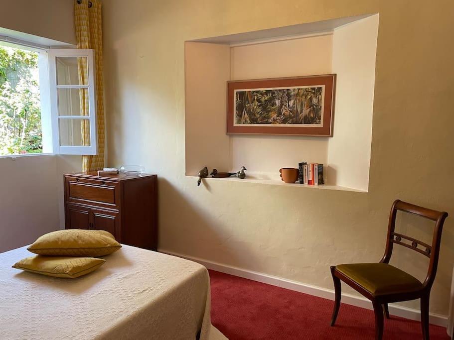 Le Strelitzia 2 Apartman Cilaos Kültér fotó